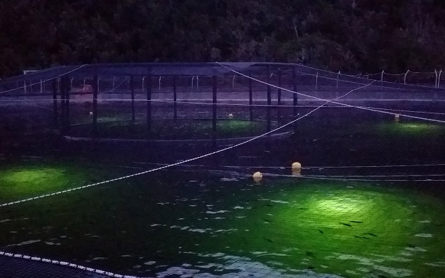 Aquaculture lighting 3